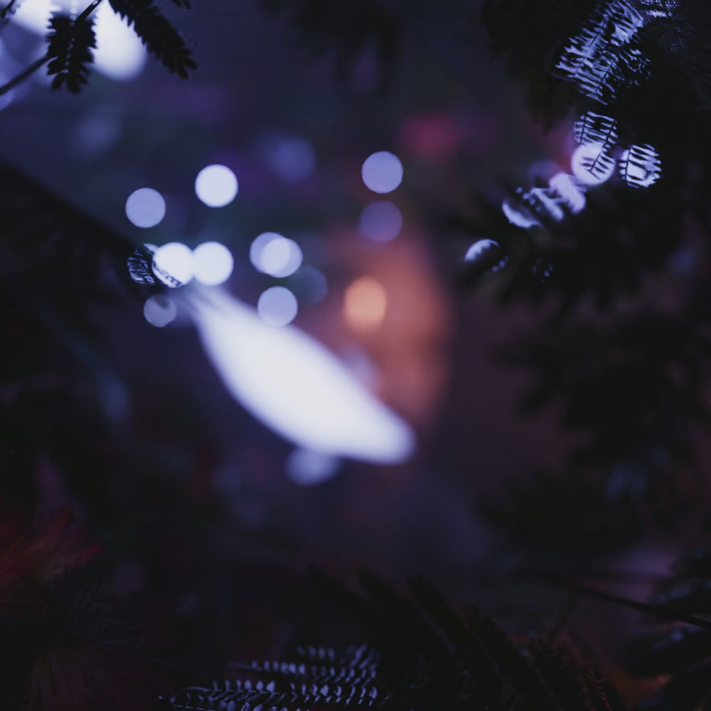 BLUEBOURNE + INSTINCT "FANTASIA" MULTI KIT