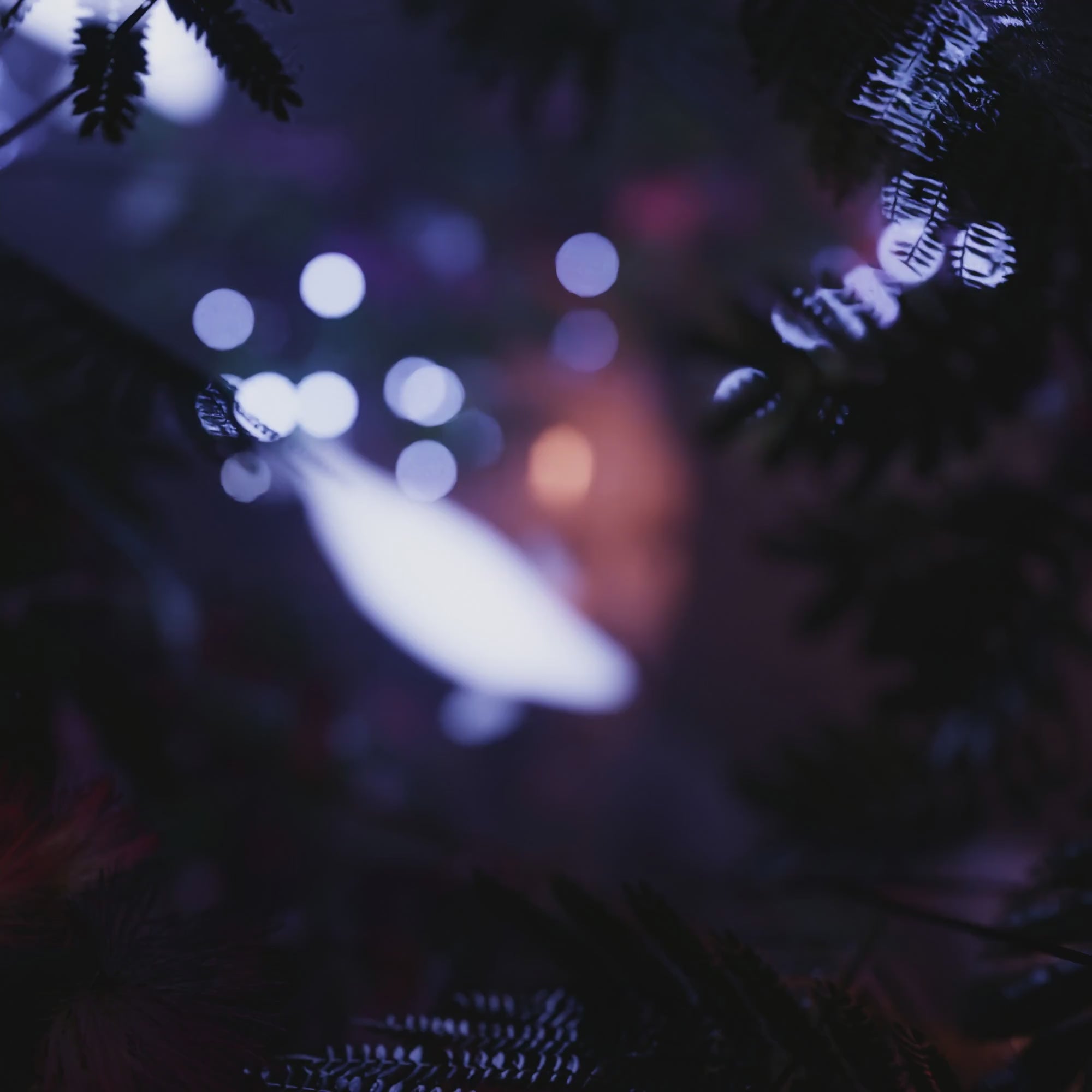 BLUEBOURNE + INSTINCT "FANTASIA" MULTI KIT